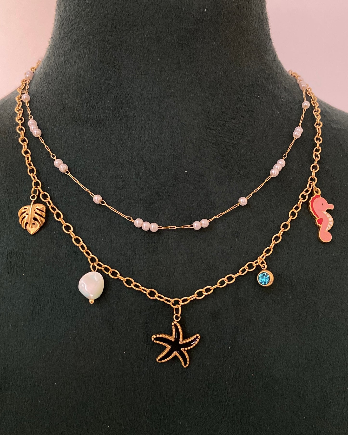Double Layered Charm Necklace