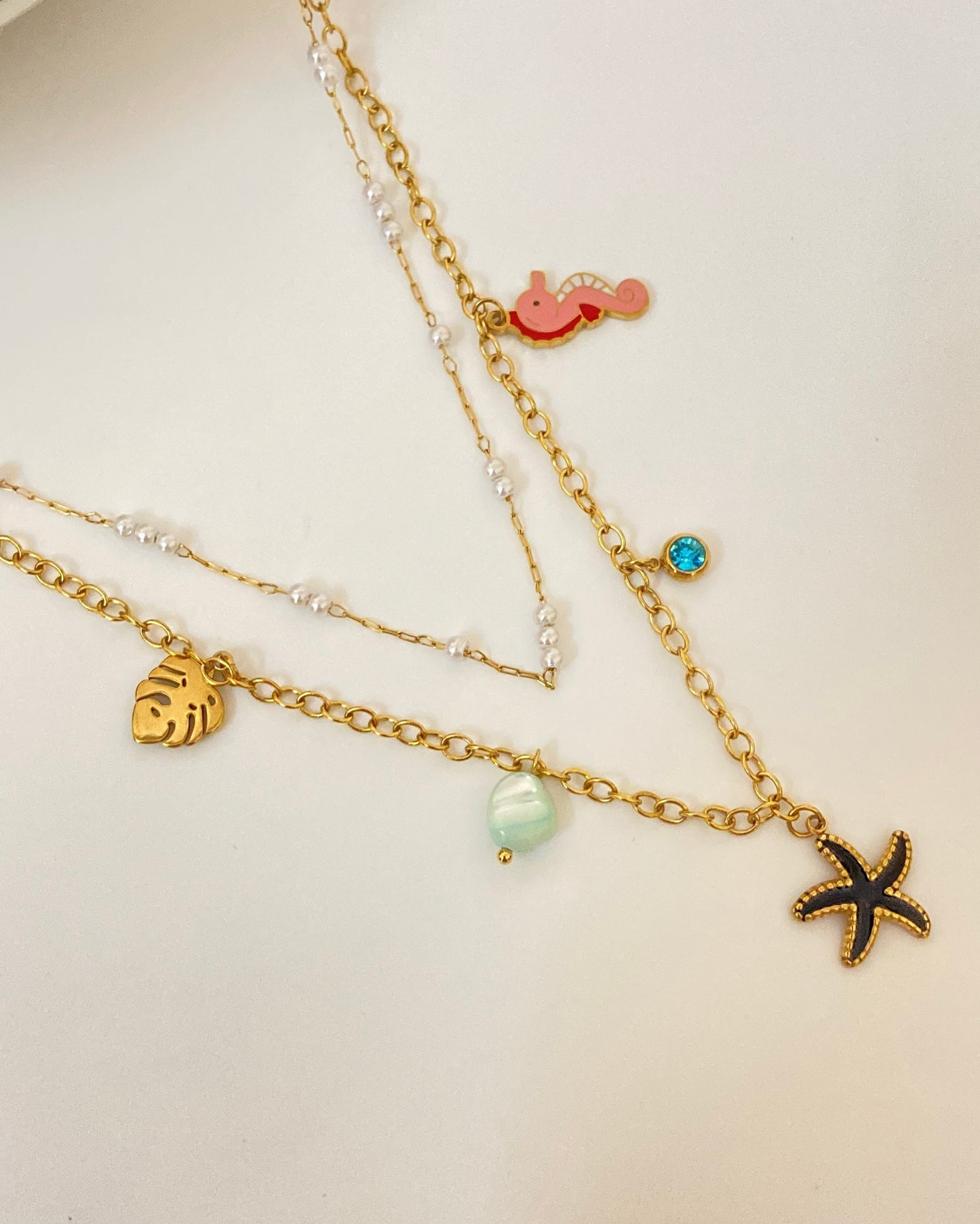 Double Layered Charm Necklace