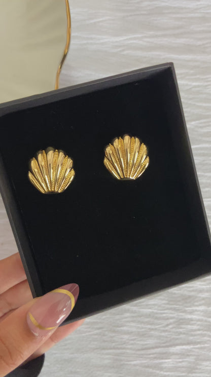 Sea shell
